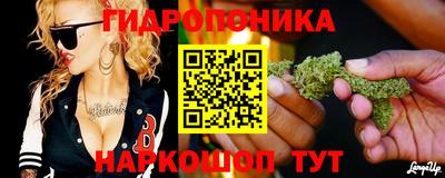 гашик Анжеро-Судженск
